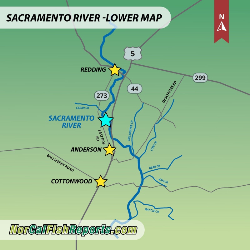 Sacramento River Lower Redding, CA Fish Reports & Map