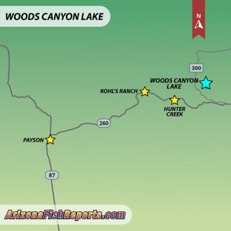 Woods Canyon Lake - Payson, AZ - Fish Reports & Map