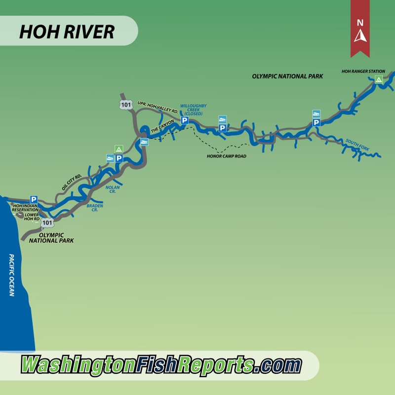 Hoh River Fish Report WA