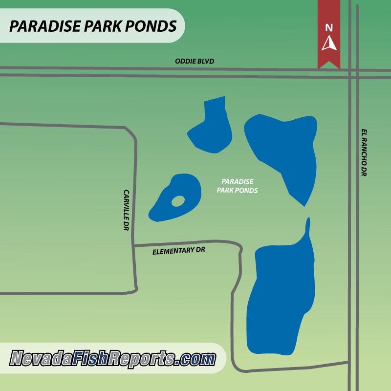 Paradise Park Ponds - Fish Reports & Map