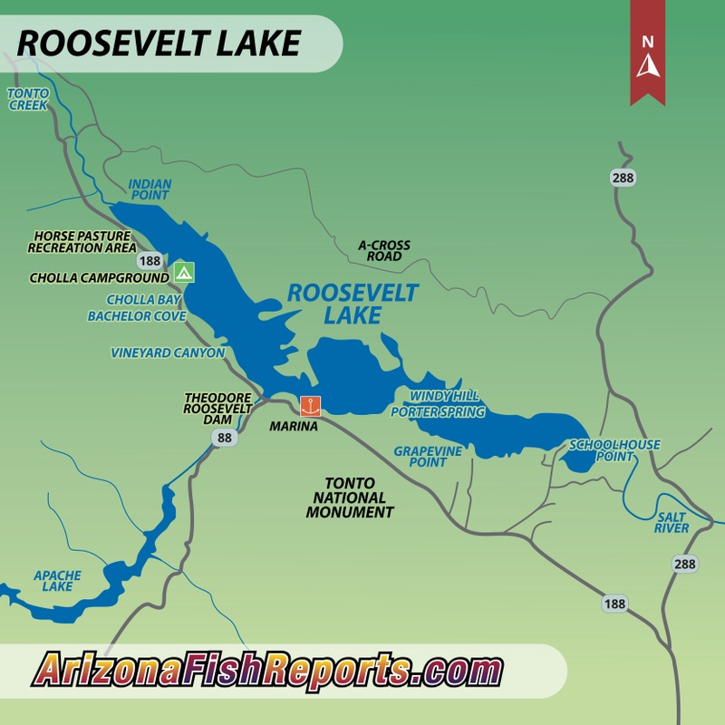 Roosevelt Lake - Fish Reports & Map