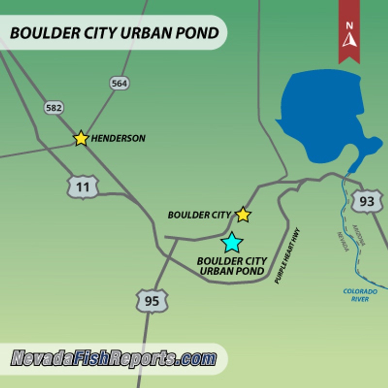 Boulder City Urban Pond Fish Report Boulder City, NV (Clark County)