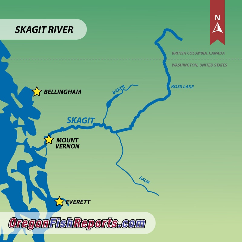 Skagit River Fish Reports & Map