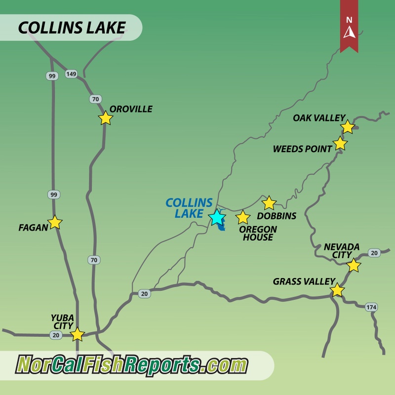 Collins Lake Fish Report - Collins Lake - Lots of Trout Over 7lbs