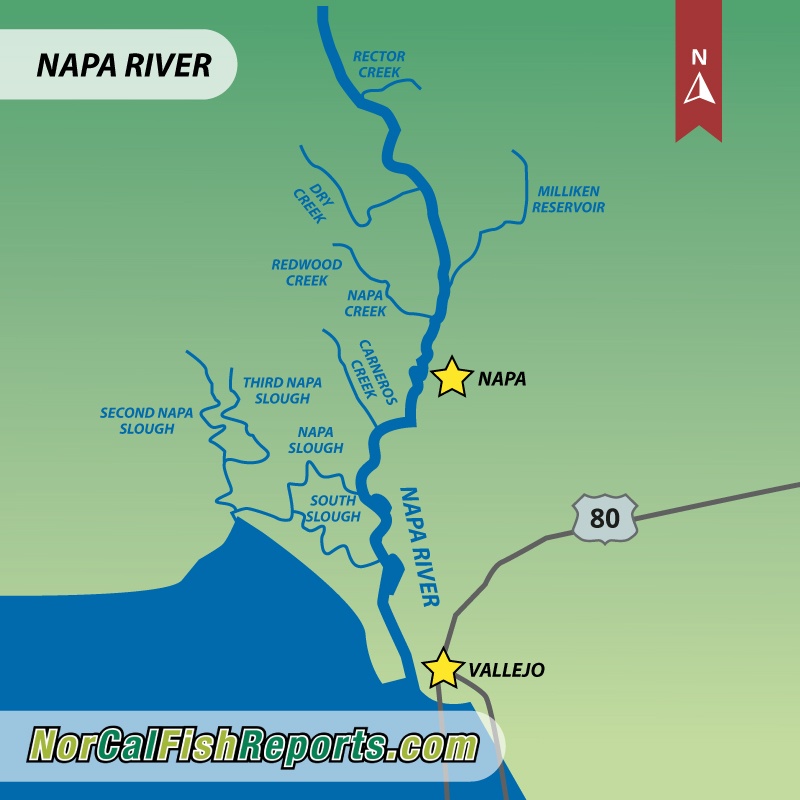 Napa River Fish Reports & Map