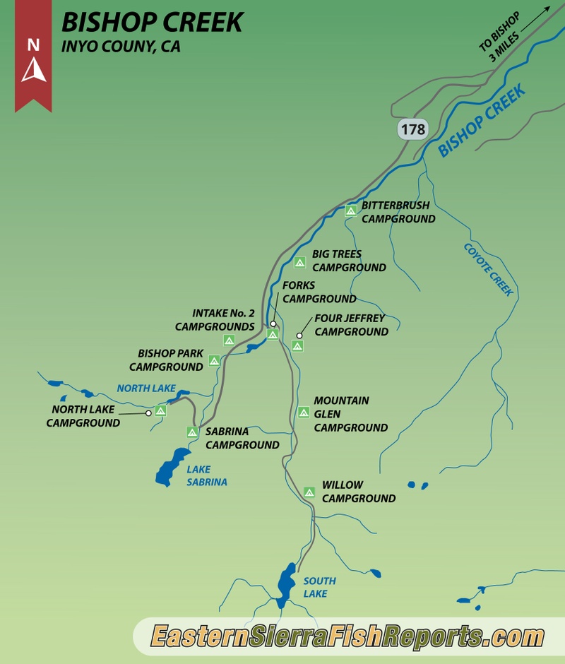 Bishop Creek Fish Report - Bishop, CA (Inyo County)