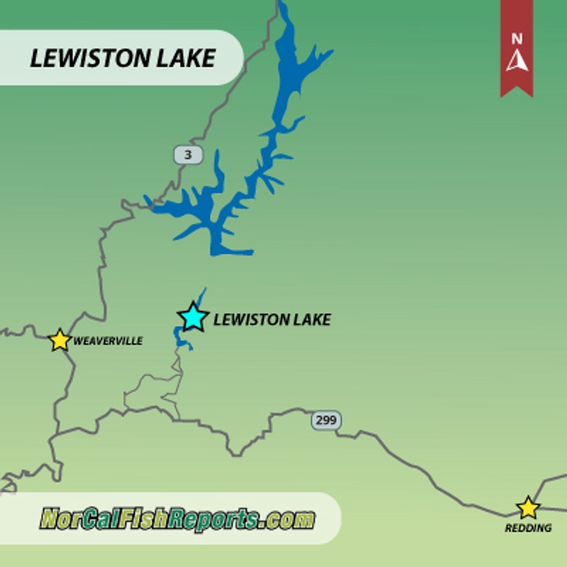 Lewiston Lake Fish Report - Lewiston, CA (Trinity County)