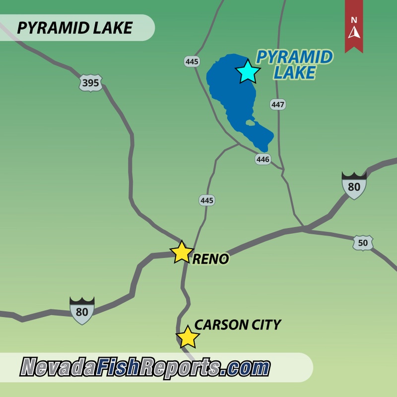 Pyramid Lake Fish Report - Sutcliffe, NV (Washoe County)