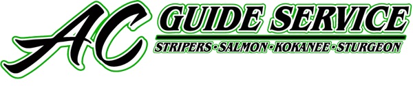 AC Guide Service Logo