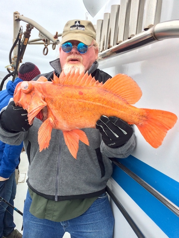 Fish Report Coastside Fishing Club Sponsored Trip