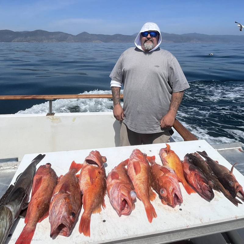 Today. Fish Fish Report - Fun day of fishing today