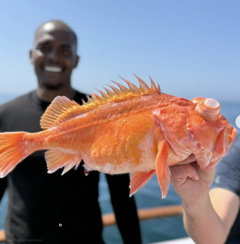 Today. Fish Fish Report - Fun day of fishing today