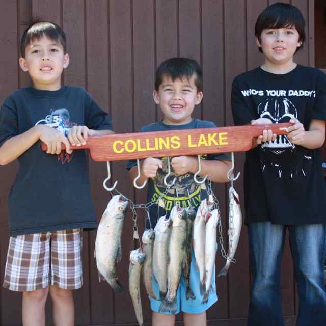 Collins Lake Fish Report