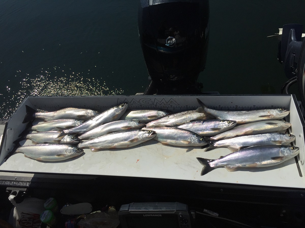 Lake Stevens Kokanee Fishing