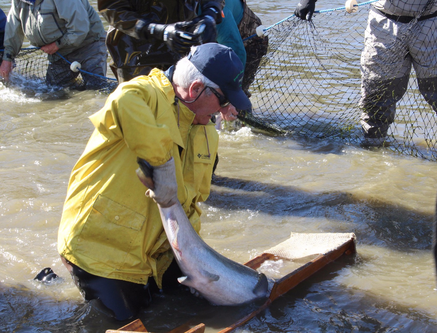 Saltwater Fishing - Chinook Showing in Chetco Tidewater