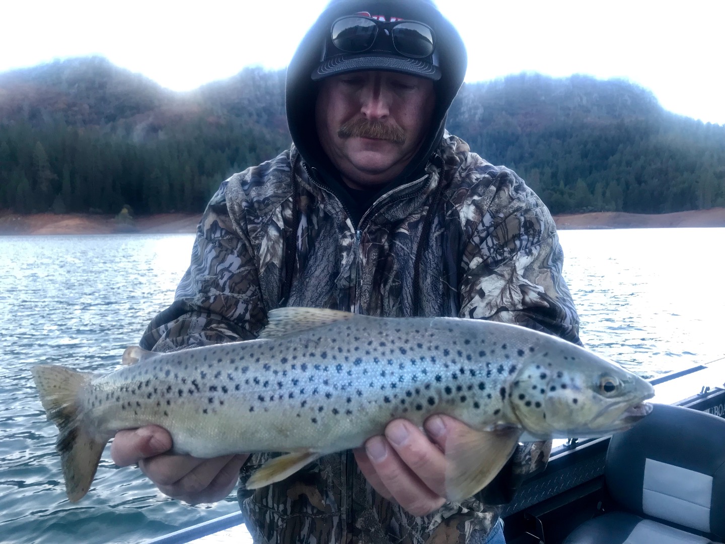 Fishing - Good German brown trout fishing on Shasta!