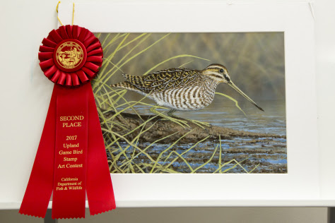 Outdoors Indiana Wildlife Artist Wins California Upland Game