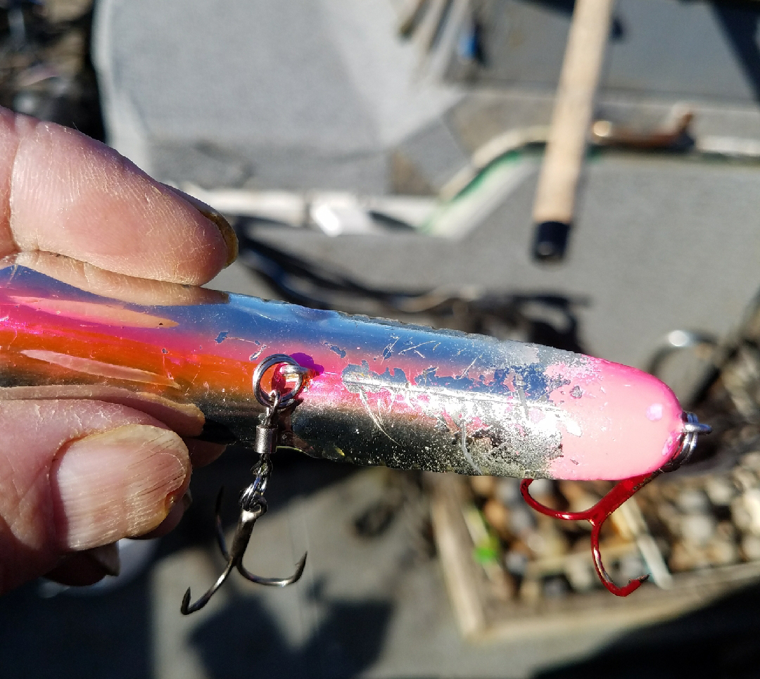 Tuna Lures Brookings