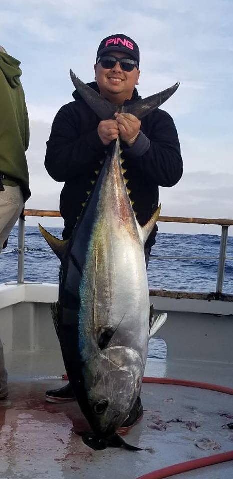 world record big eye tuna