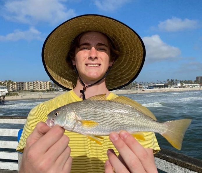 Crystal Pier Fish Report - Saltwater Report - Red Tide is Gone! - May 16,  2020