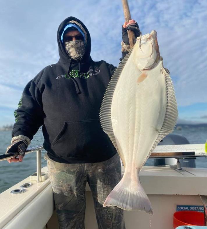 Halibut up to 25 Pounds