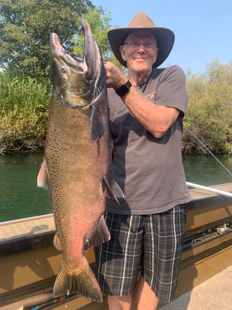 Sacramento River Fish Report CA