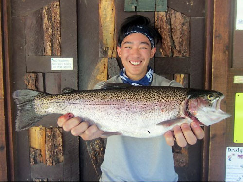 Virginia Lakes Fish Report - Bridgeport, CA (Mono County)