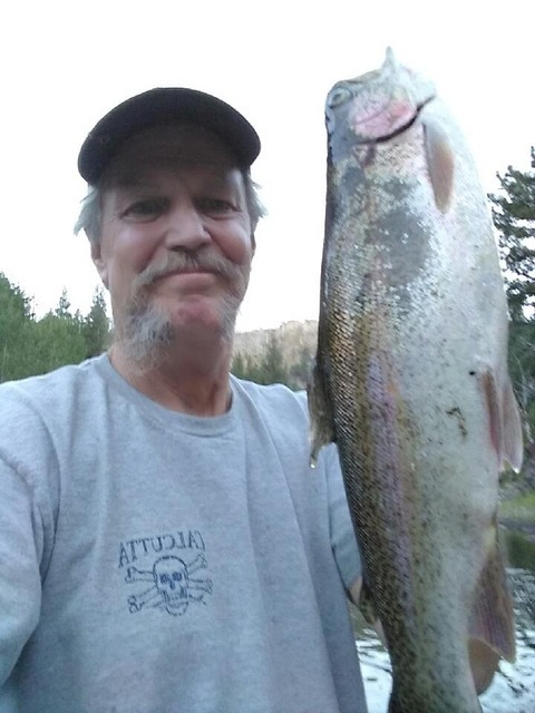 East Carson River (CA) Fish Report - Markleeville, CA (Alpine County)