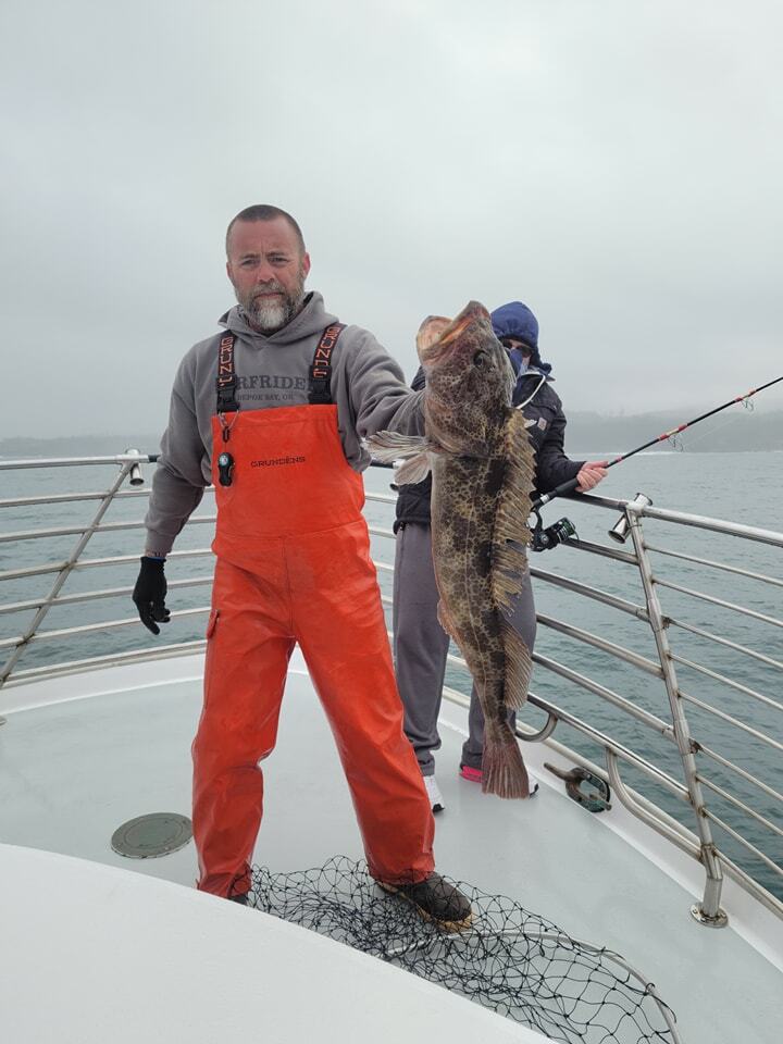 The Ling Cod have been on the bite! Building trips this week on the Surfrider
