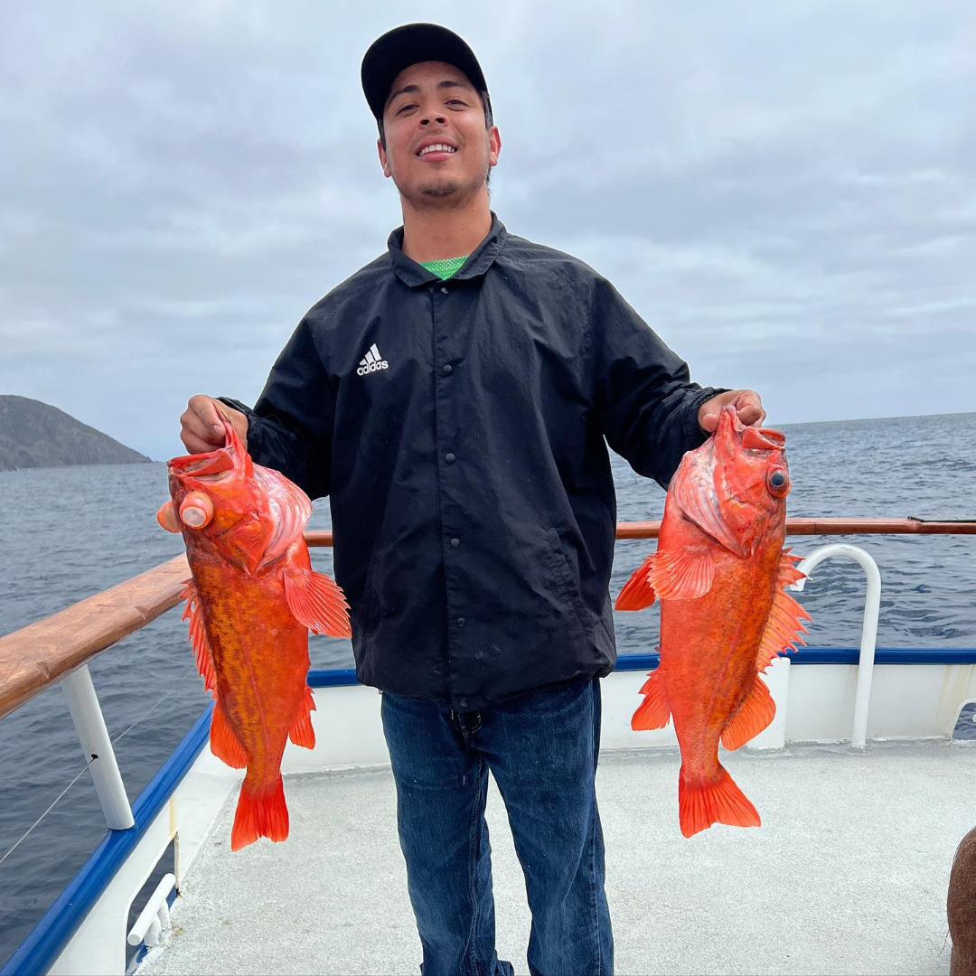 LIMITS on good quality vermillion rockfish today 
