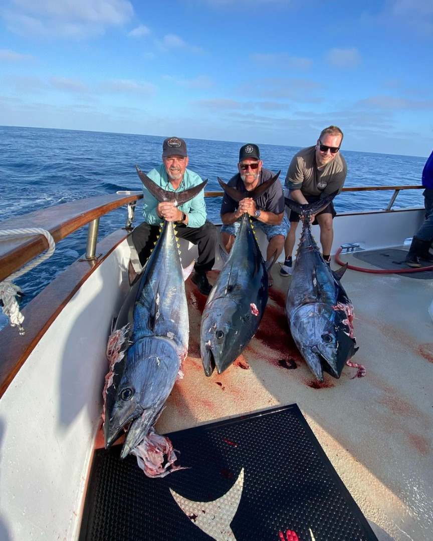 36 bluefin to 185lbs.