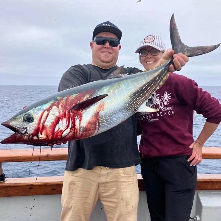26 Bluefin up to 50lbs