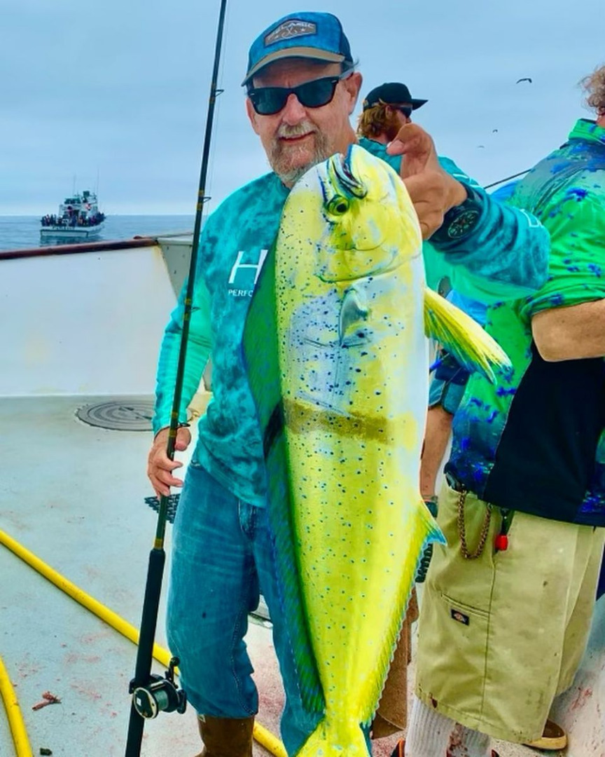 Over 300 dorado have hit the deck the past 2 days
