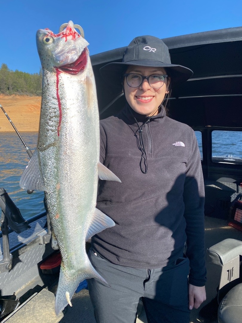 Fishing - Shasta Lake winter trout fishing!