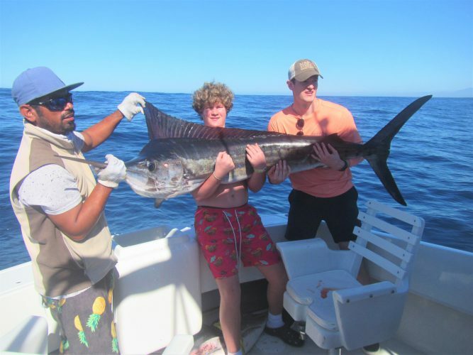 Striped Marlin up to 140 lbs.