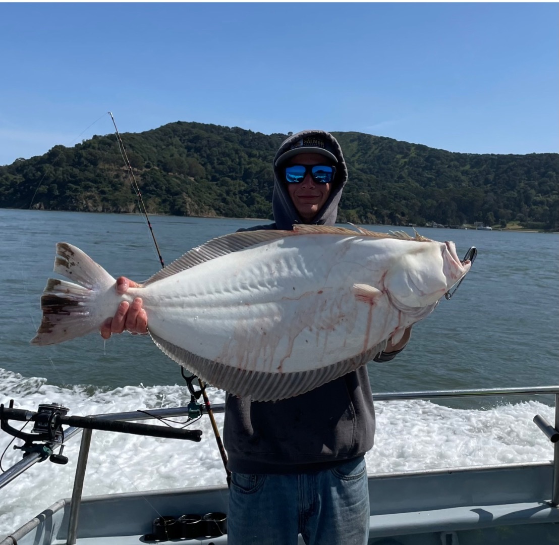 Halibut/Striper Potluck trips starting up now !!