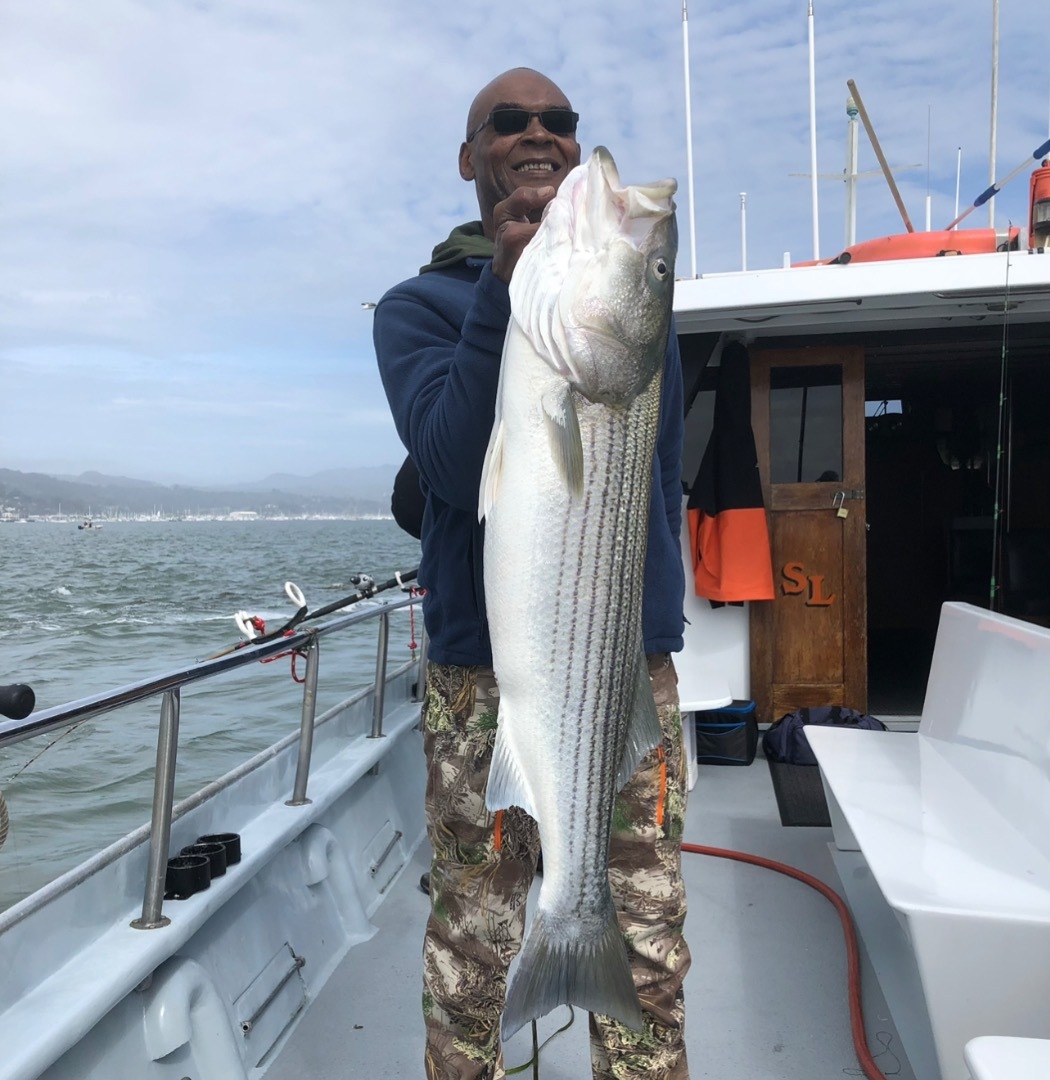 Halibut/Striper Potluck trips starting up now !!