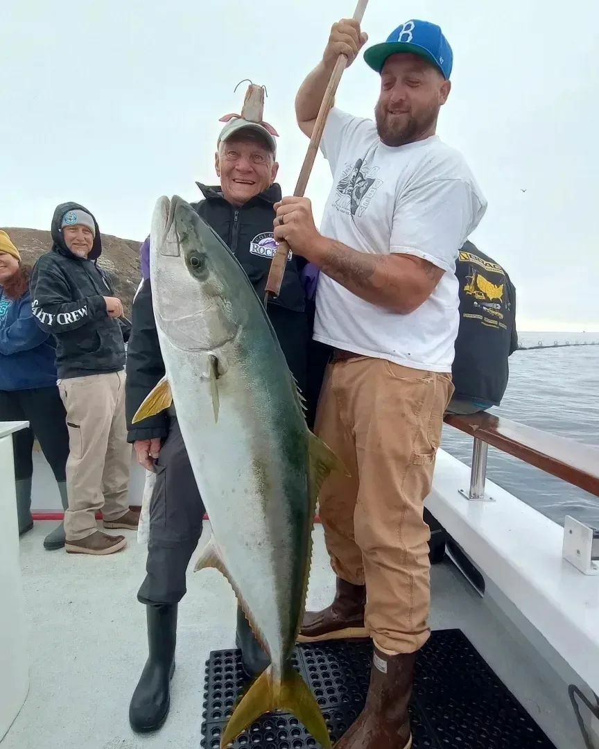 45 lb. Yellowtail to take over the leaderboard 