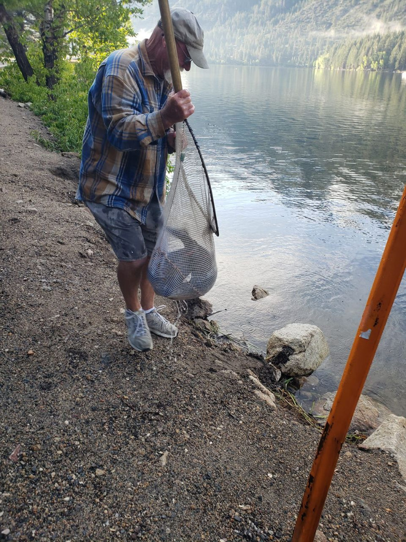 Bridgeport Reservoir Fish Report - Bridgeport, CA (Mono County)