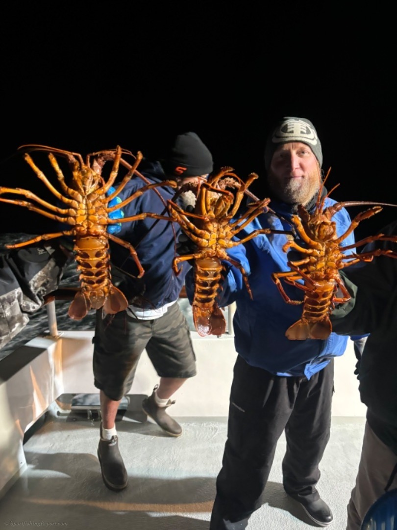 2024 California Spiny Lobster Whopper List