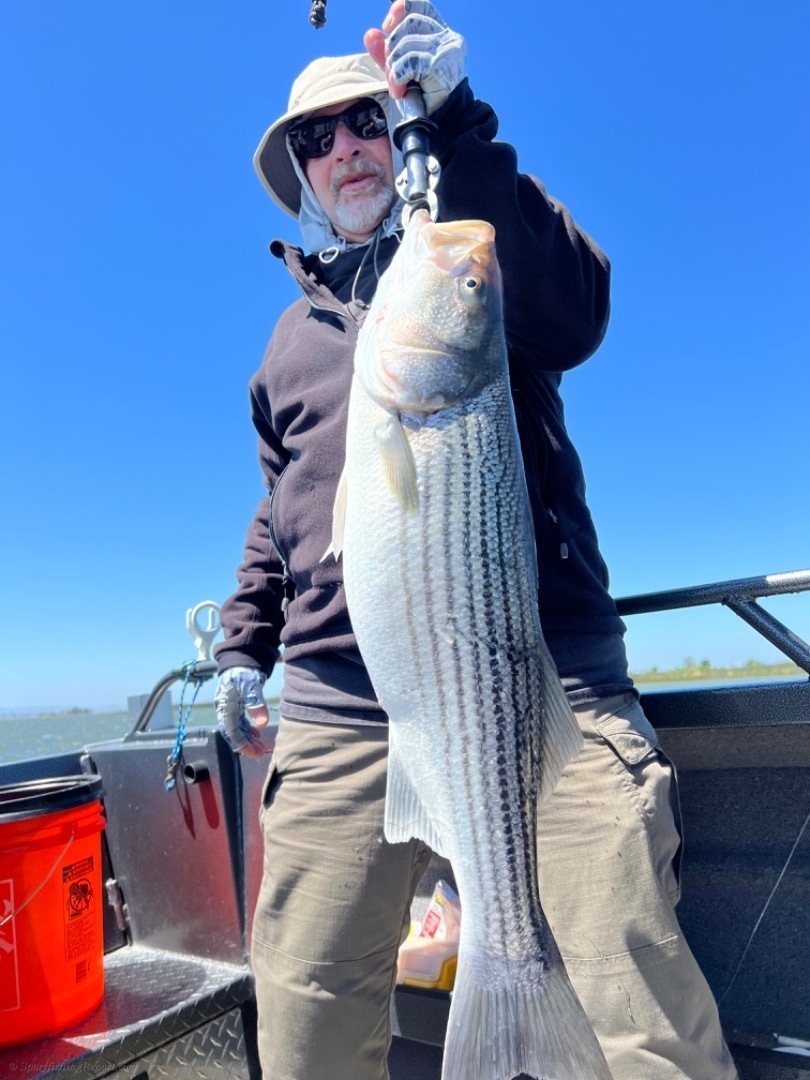 Friday Stripers 