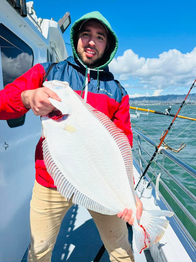 Both boats rallied on nice grade of halibut
