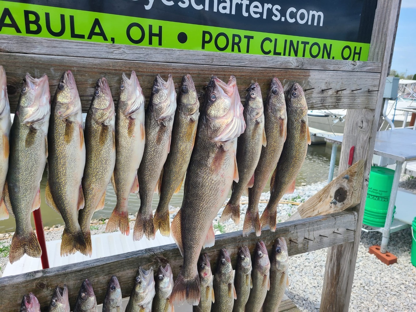 The Jig Bite On Lake Erie With Special Eyes Charters and Capt. Bob is Heating Up 
