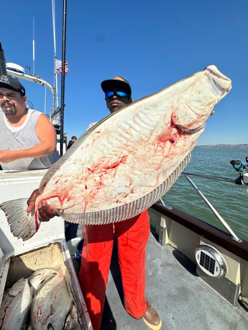 Capt. Frank reports in with fantastic fishing!!!