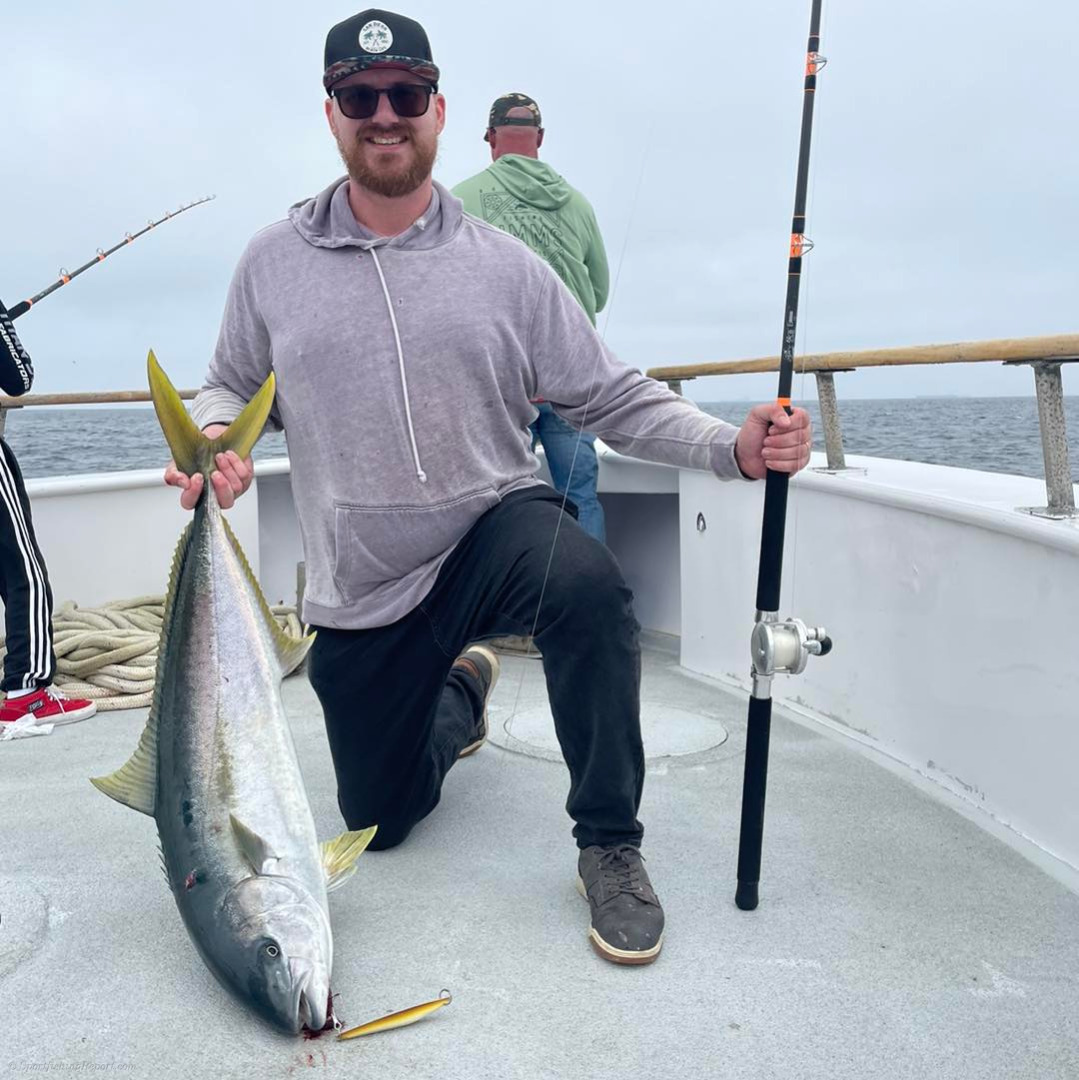 Yellowtail were bitting today