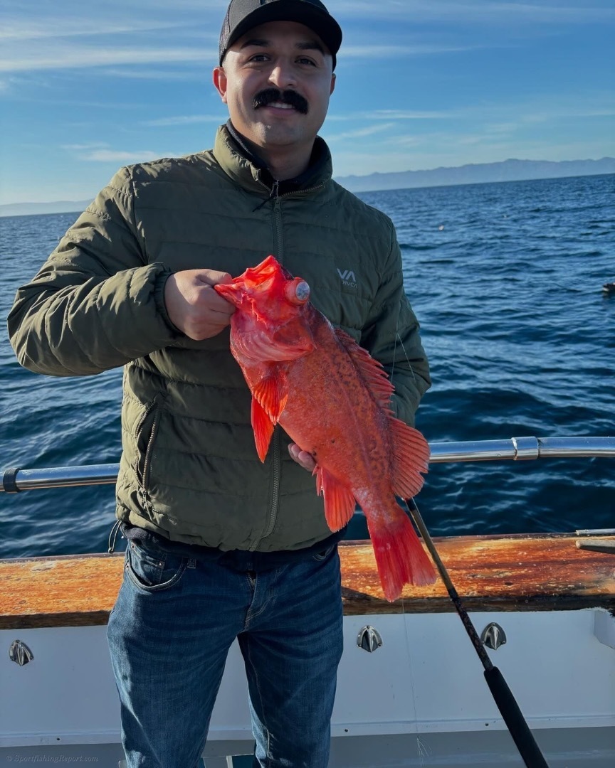 Rockfish limits