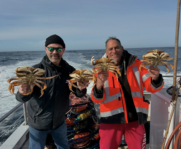 15 limits of JUMBO CRAB by 10:15 am