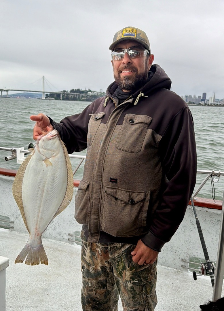 California Halibut — 