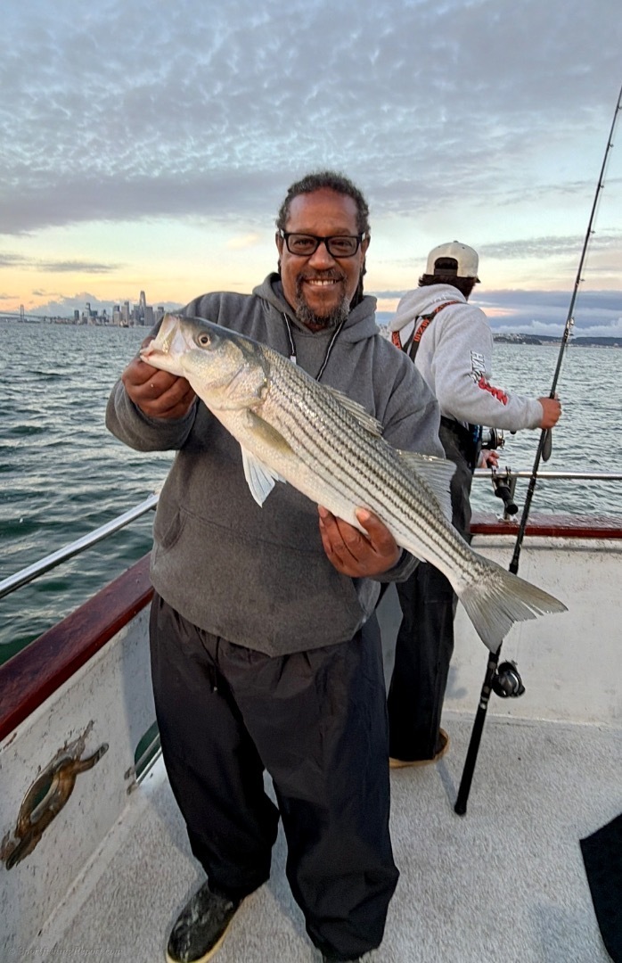 Striped Bass — 