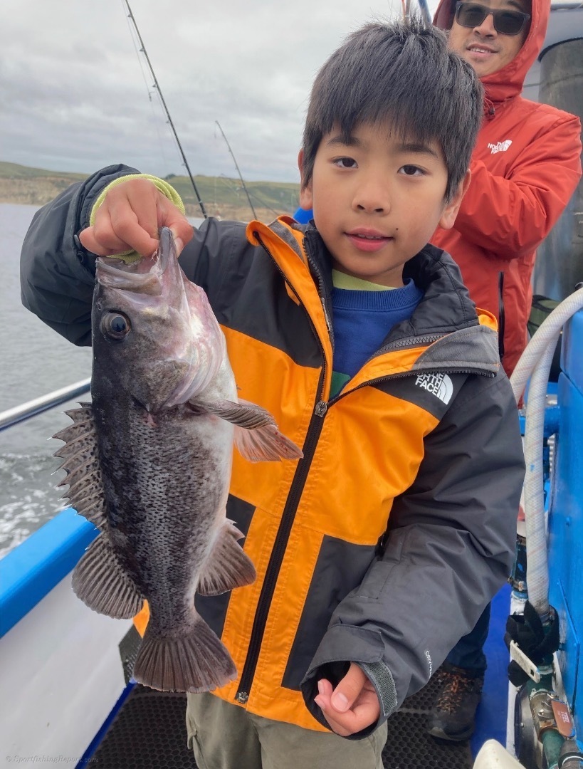 Riptide Fish Report - Fish Report - Rock cod fishing - May 24, 2026